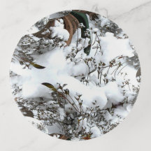 Neige Abstraite