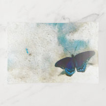 Peinture numérique de papillon