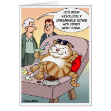 Vidéo virale du chat