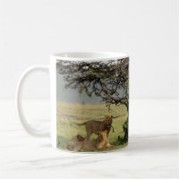 Vie avec la tasse de lions avec hors de la