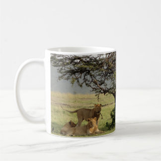 Vie avec la tasse de lions avec hors de la