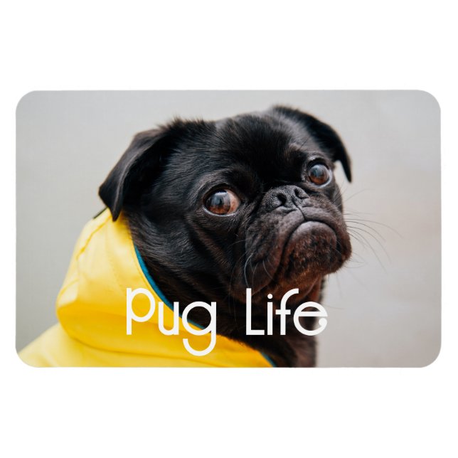 "Vie Carlin" Magnet photo entièrement modifiable (Horizontal)