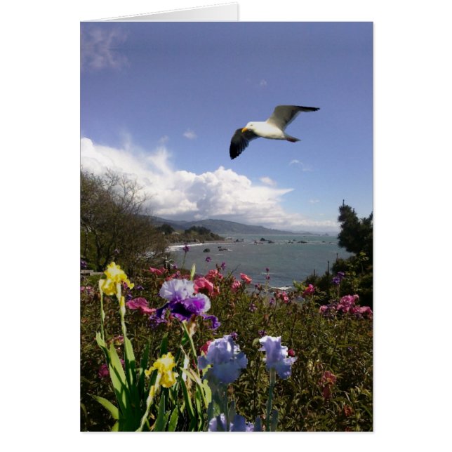 Vie côtière (Devant)