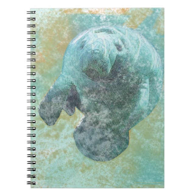 Vie côtière Belle Manate | CARNET (Devant)