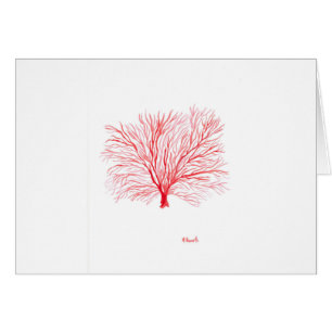 Vie marine corallienne rouge