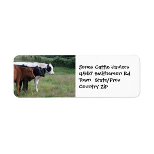 Vieh, das Bauernhof-oder Ranch-Aufkleber schleppt