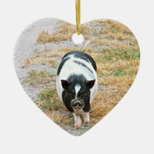 Vieh-Foto des Dickbauch-Schwein-  niedliches Keramikornament