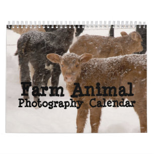 Vieh-Fotografie-Kalender Kalender