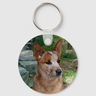 Vieh-Hund Schlüsselanhänger