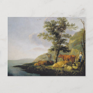 Vieh nahe einem Fluss Aelbert Cuyp Postkarte