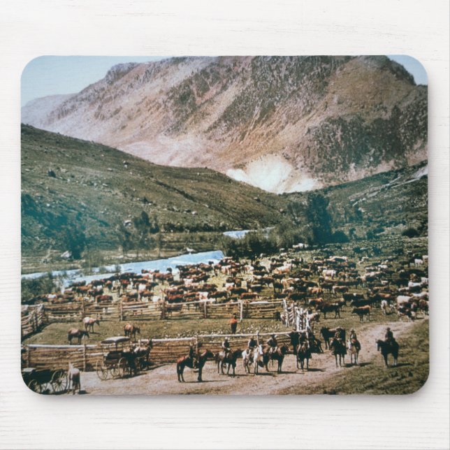 Vieh-Ranch, Colorado, 1899 (Foto) Mousepad (Vorne)