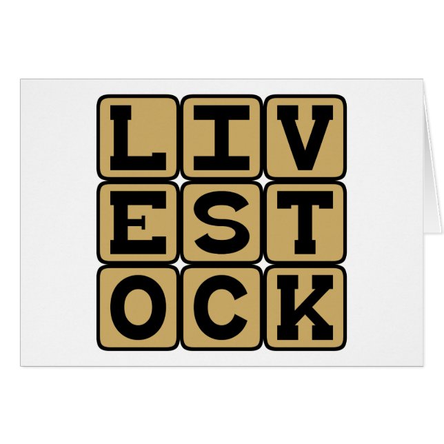 Vieh, Rinder (Vorderseite (Horizontal))