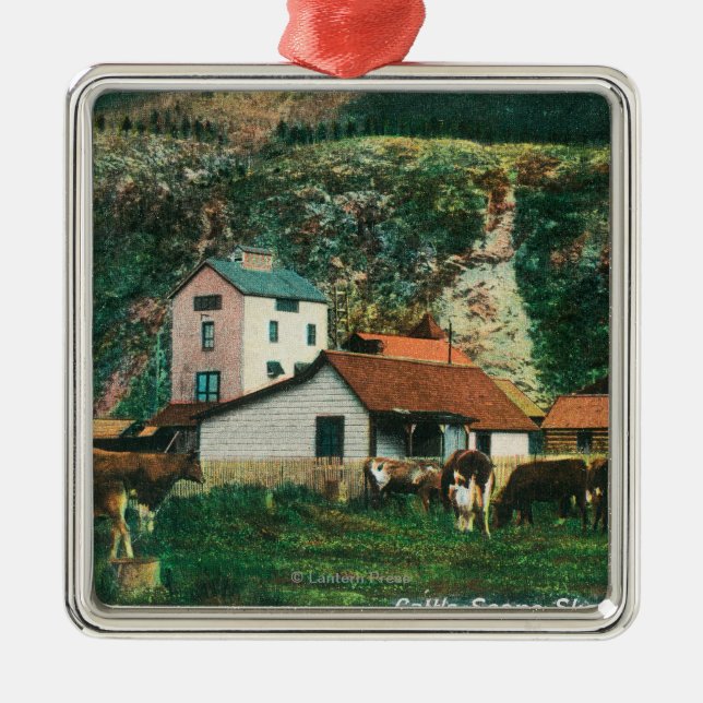 Vieh unter Scheunen SceneSkagway, AK Ornament Aus Metall (Vorne)