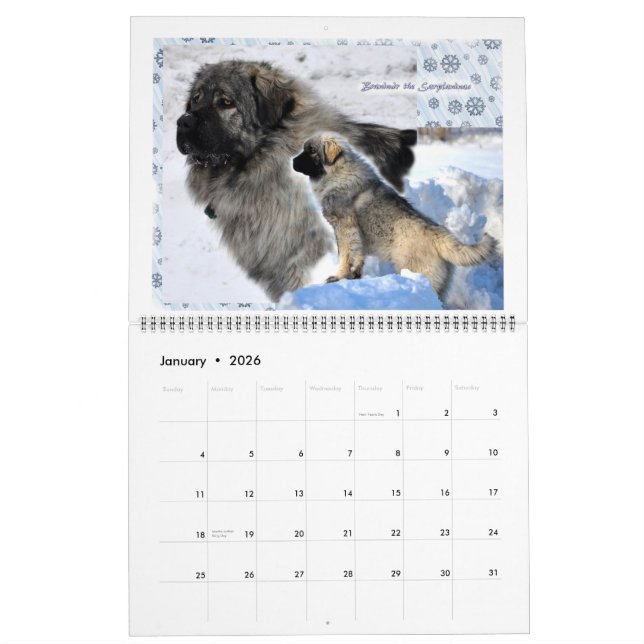 Viehbestand-Wächter verfolgt 2015 ENORM Kalender (Jan 2026)
