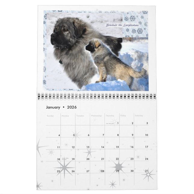 Viehbestand-Wächter verfolgt Standardgröße 2015 Kalender (Jan 2026)