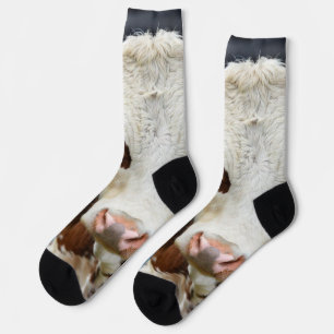 Viehschau-Kuh-Foto-Anpassung Socken