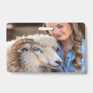 Viehschau-Schaf-Foto-Anpassung Ausweis