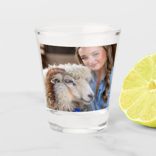 Viehschau-Schaf-Foto-Anpassung Schnapsglas