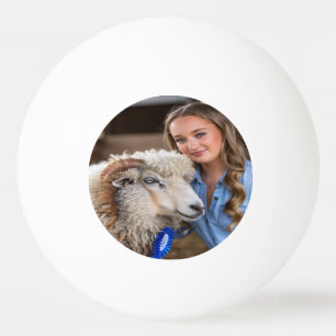 Viehschau-Schaf-Foto-Anpassung Tischtennisball