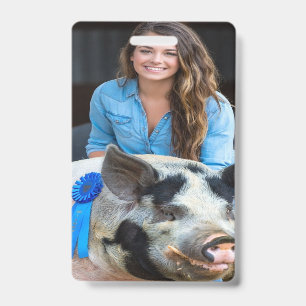 Viehschau Schweine Foto Anpassen Ausweis