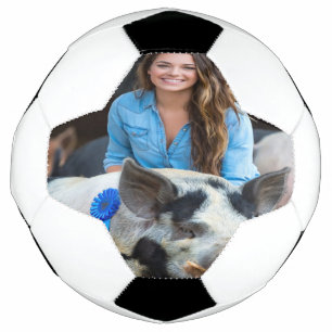 Viehschau Schweine Foto Anpassen Fußball