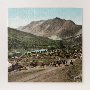 Viehtrieb (Colorado, 1898)