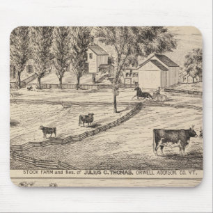 Viehzucht in Orwell Vermont Mousepad