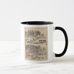Viehzucht in Orwell Vermont Tasse