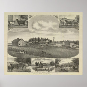 Viehzucht Rote Vermillion, Havensville, Kansas Poster