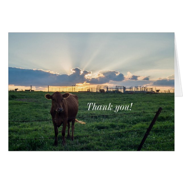Viehzucht Sonnenuntergang Danke Karte (Vorderseite (Horizontal))