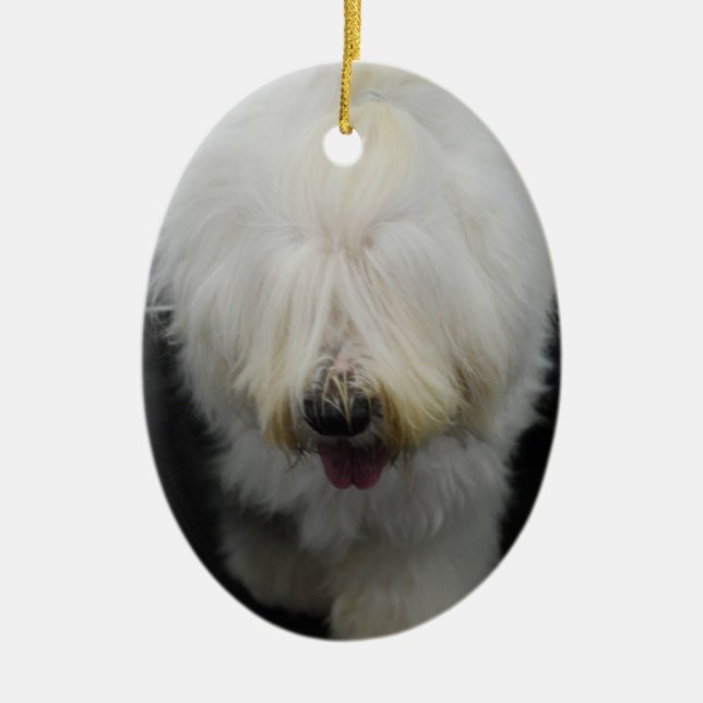 Vieil ornement anglais mignon de chien de berger (Devant)