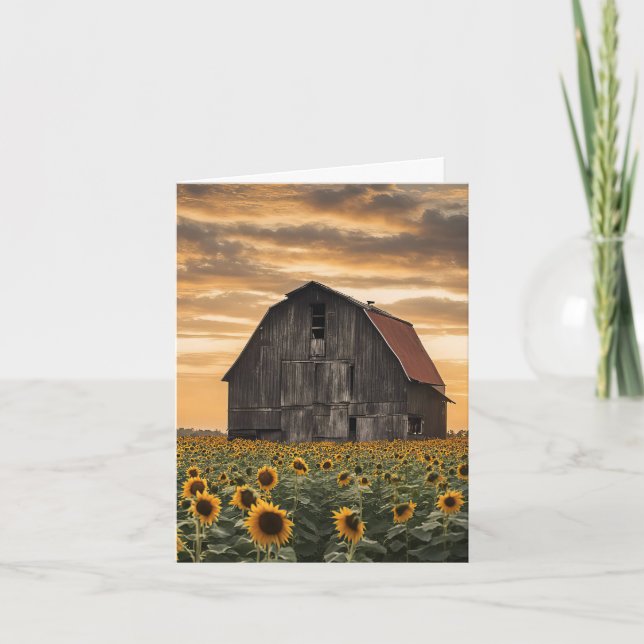 Vieille Barre En Bois Dans Les Tournesols (Devant)