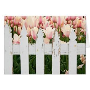 vieille clôture avec tulipes