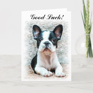 viel Glück French Bulldog Welpenkarte Karte