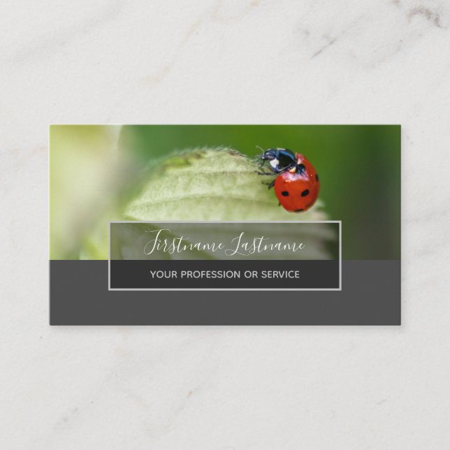 Viel Glück gepunktete Ladybugs, elegantes graues R Visitenkarte (Vorderseite)