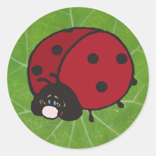 viel Glück-Lady-Bug Runder Aufkleber