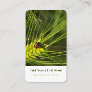 Viel Glück ladybug positive psychische Gesundheit Visitenkarte