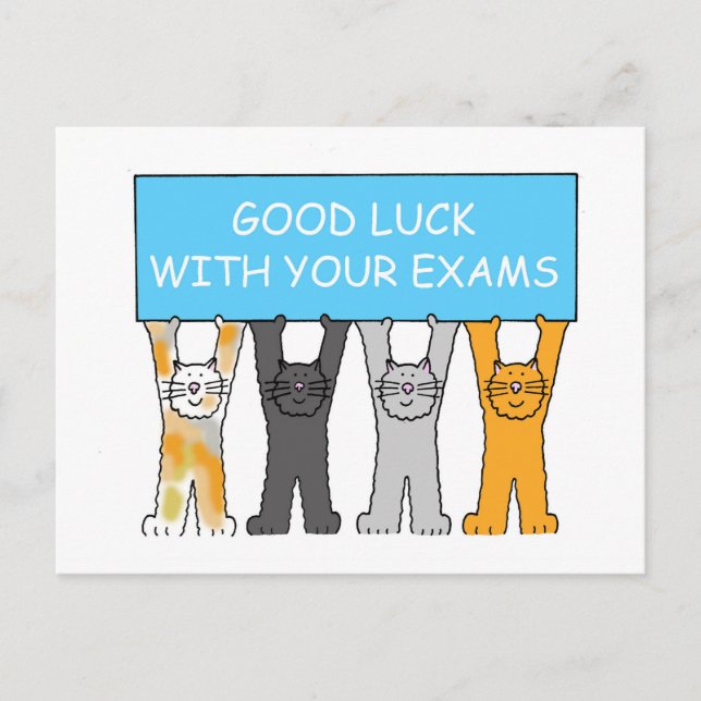 viel Glück mit Ihren Exams Cartoon Katzen Postkarte (Vorderseite)