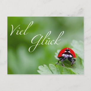 Viel Glück! Postkarte