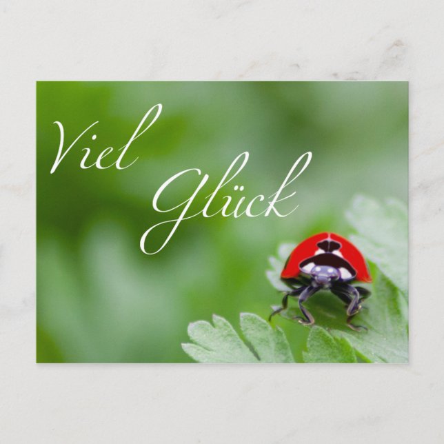 Viel Glück! Postkarte (Vorderseite)