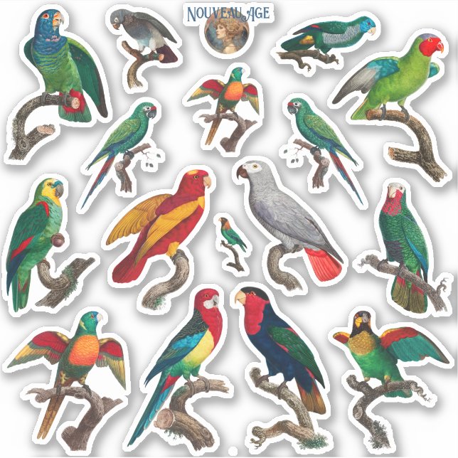 Viel Papageien farbenfrohe Vogelschutzschild Aufkleber (Vorderseite)