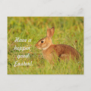 Viel Spaß an Ostern! Postkarte