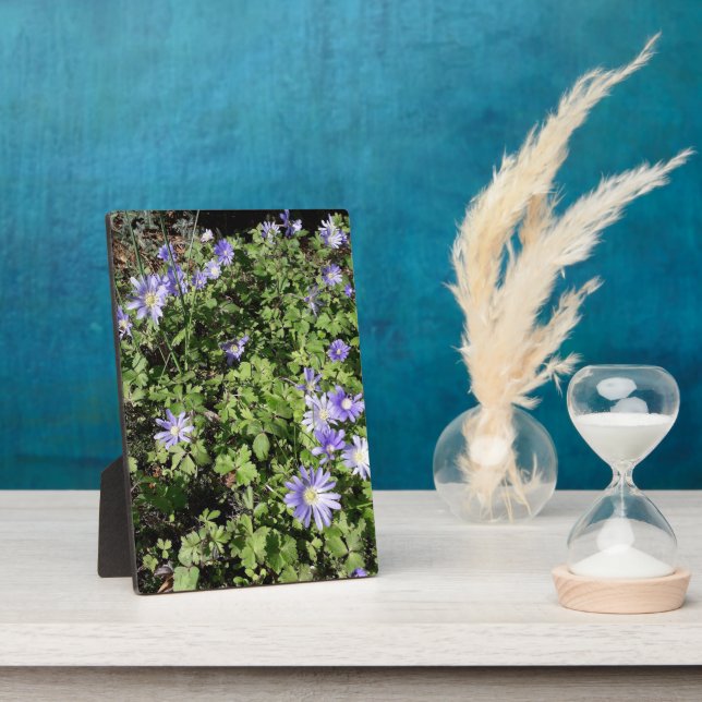 Viele Blume Fotoplatte (Seite)