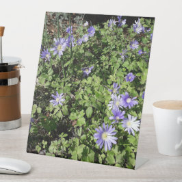 Viele Blume Sockelschild
