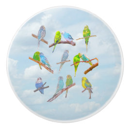 Viele bunte Parakets - niedliche kleine Vögel Keramikknauf