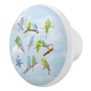 Viele bunte Parakets - niedliche kleine Vögel Keramikknauf