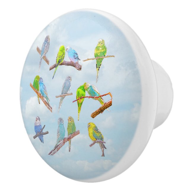 Viele bunte Parakets - niedliche kleine Vögel Keramikknauf (Rechts)