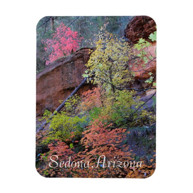 Viele Farben von Sedona Magnet (Vertikal)