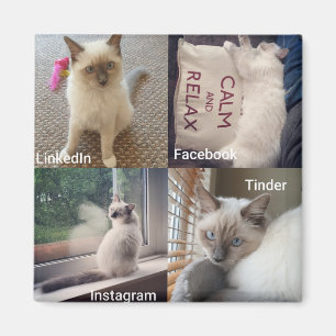Viele Gesichter einer Ragdoll Katze Magnet