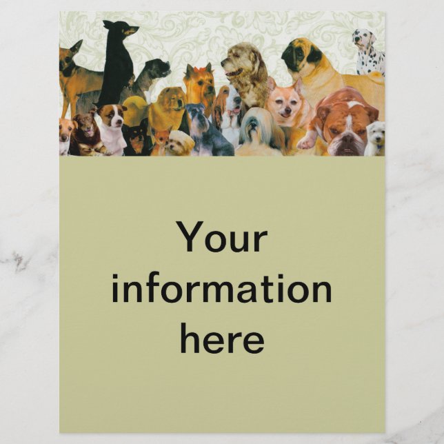 Viele Hunde sammeln Flyer (Vorne)